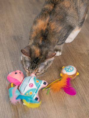 Petstages ������� Catstages Dental ��� ����� ��������� �������� �����, (����, ��� 2)