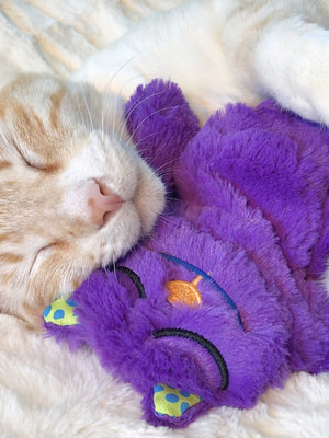 Petstages ������� Catstages ��� ����� �������� ������� � �������� ����� (����, ��� 2)