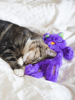 Petstages ������� Catstages ��� ����� �������� ������� � �������� ����� (����, ��� 3)