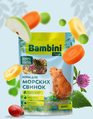 Bambini Pets     (,  1)