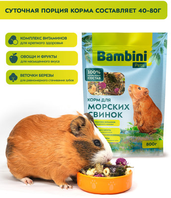 Bambini Pets     (,  2)