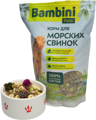 Bambini Pets     (,  7)