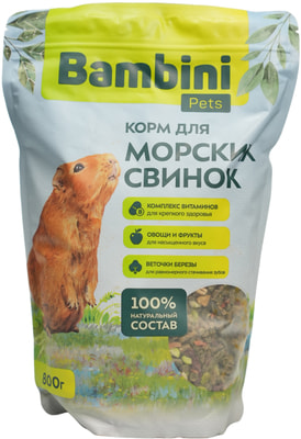 Bambini Pets     (,  9)