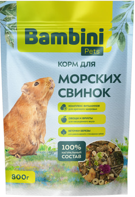 Bambini Pets     (,  10)