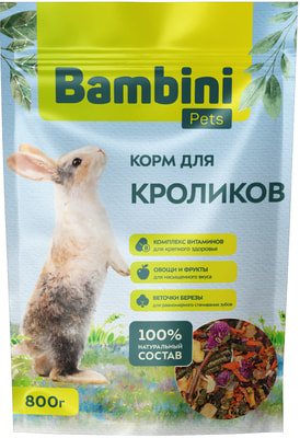 Bambini Pets    (,  10)