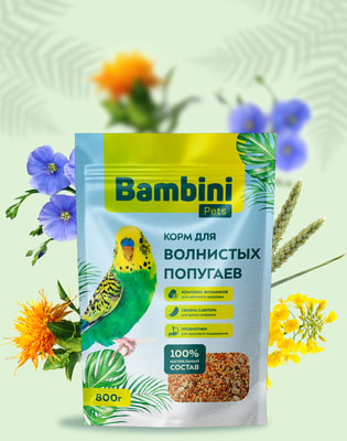 Bambini Pets     (,  2)