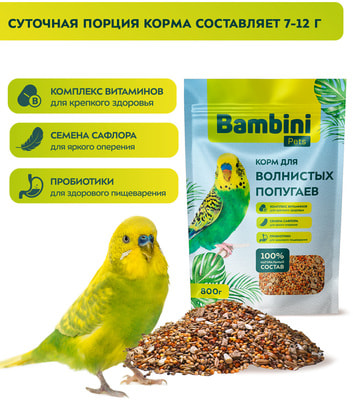 Bambini Pets     (,  3)