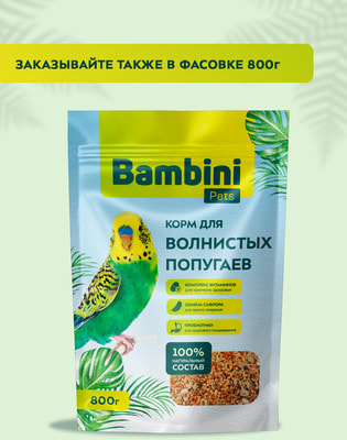 Bambini Pets     (,  4)