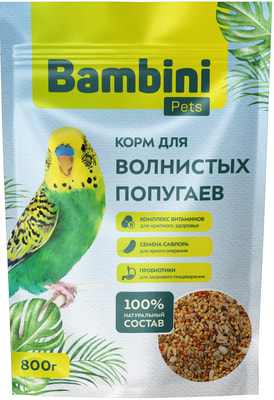 Bambini Pets     (,  9)