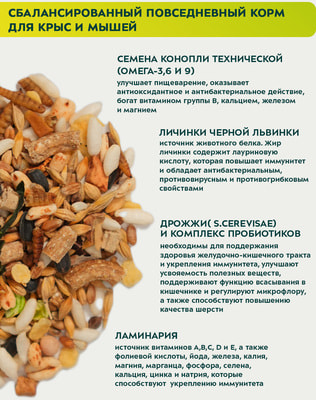 Bambini Pets      (,  1)
