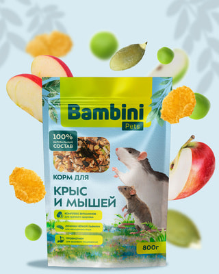 Bambini Pets      (,  2)