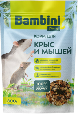 Bambini Pets      (,  11)