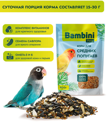 Bambini Pets     (,  1)