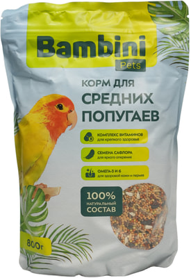 Bambini Pets     (,  6)