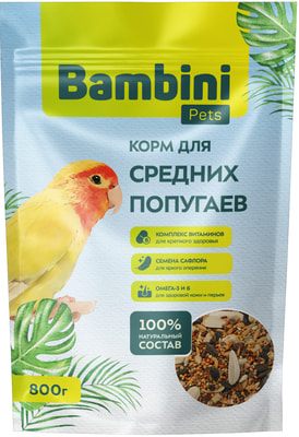 Bambini Pets     (,  7)