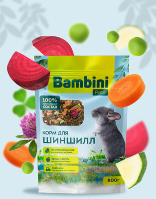 Bambini Pets    (,  1)