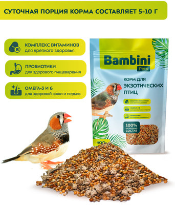 Bambini Pets     (,  1)