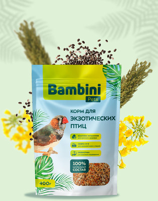 Bambini Pets     (,  3)