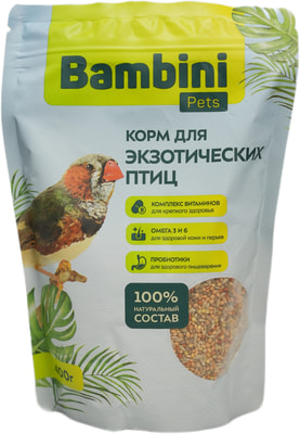 Bambini Pets     (,  4)