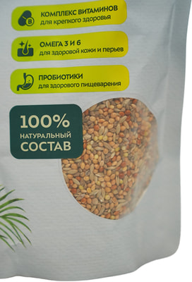 Bambini Pets     (,  6)