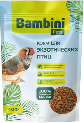 Bambini Pets     (,  9)