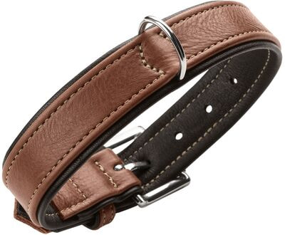 Hunter    Canadian UP   - (,  2)