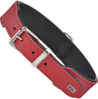 Hunter    Basic  / (,  2)