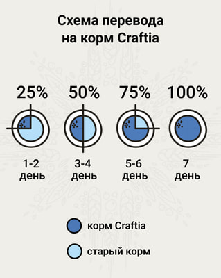 ����� ���� CRAFTIA GALENA ������������ ����� CAT HYPOALLERGENIC DERM CARE ��������������� ���� ��� ����� ��� ������� �������� � ������������ ���� (����, ��� 4)
