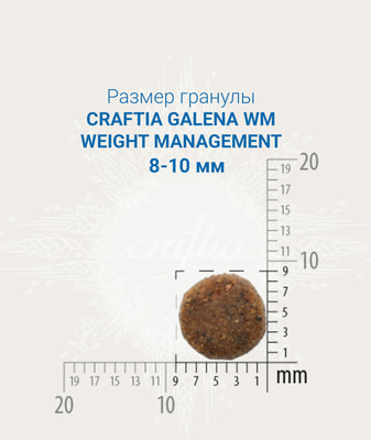   CRAFTIA GALENA   CAT WEIGHT MANAGEMENT (Obesity)   ()      (,  4)