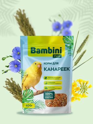 Bambini Pets    (,  2)