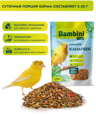 Bambini Pets    (,  3)