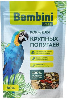 Bambini Pets     (,  1)