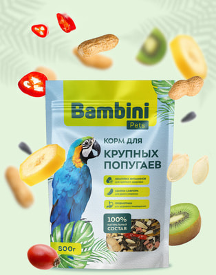 Bambini Pets     (,  2)