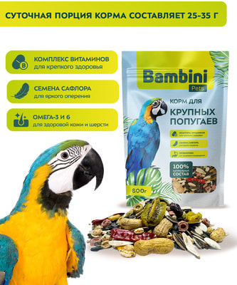 Bambini Pets     (,  3)
