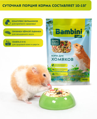 Bambini Pets    (,  3)