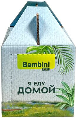 Bambini Pets  -      (,  2)
