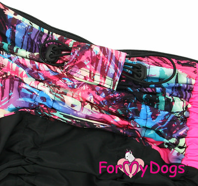 ForMyDogs    - /   (,  1)