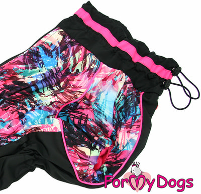 ForMyDogs    - /   (,  4)