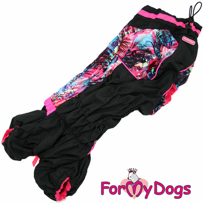 ForMyDogs    - /   (,  5)