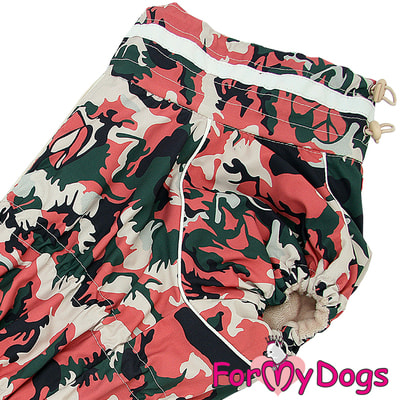 ForMyDogs   -     (,  3)