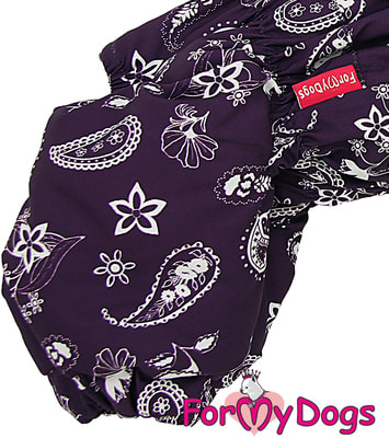 ForMyDogs        (,  1)