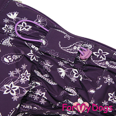 ForMyDogs        (,  3)