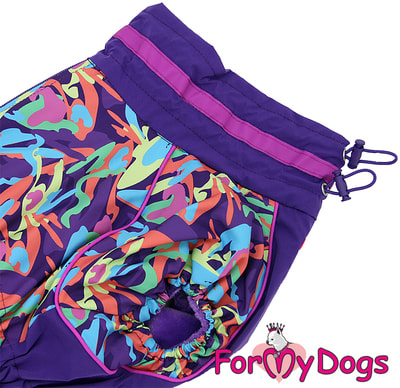 ForMyDogs    -    (,  3)