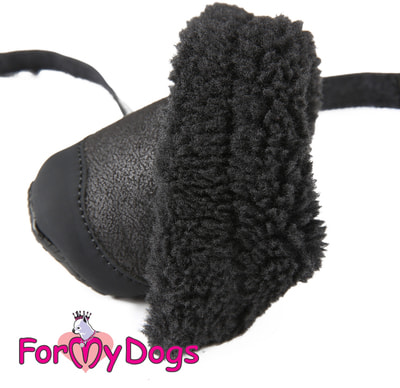 ForMyDogs           (,  2)