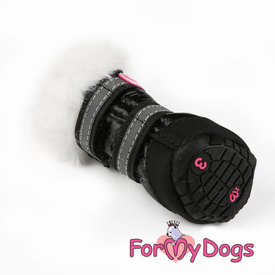 ForMyDogs         /  (,  1)