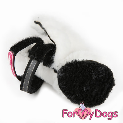 ForMyDogs         /  (,  2)