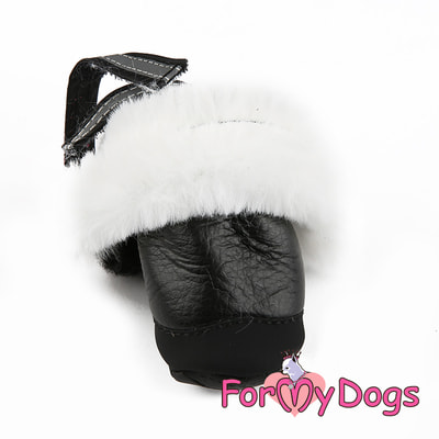 ForMyDogs         /  (,  3)