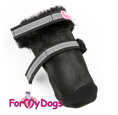 ForMyDogs           (,  1)