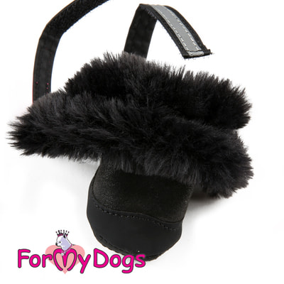 ForMyDogs           (,  2)