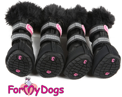 ForMyDogs           (,  3)